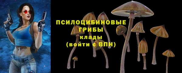 apvp Куйбышев