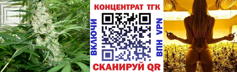 ТГК Wax  Купить  Новодвинск 